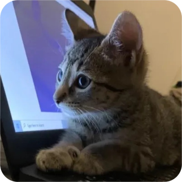 Profile picture